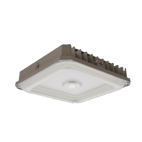 100W Adjustable Garage Canopy Light