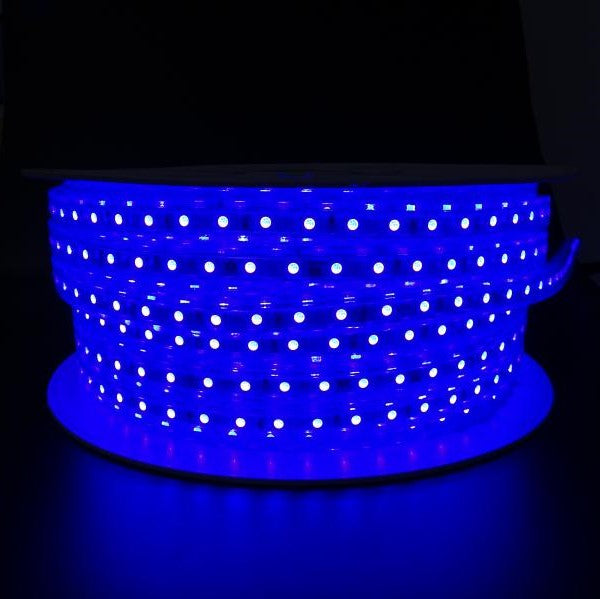 Blue LED Rope Light (164 Ft./Roll)