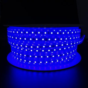 Blue LED Rope Light (164 Ft./Roll)