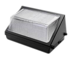 LED Wall Pack (100W)